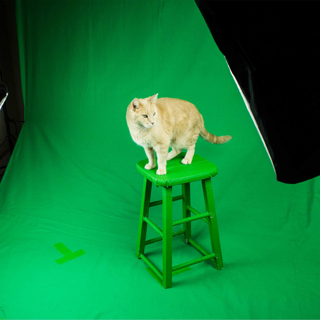 Green Screens and Gaffer Tape - BFFs in the Production World.